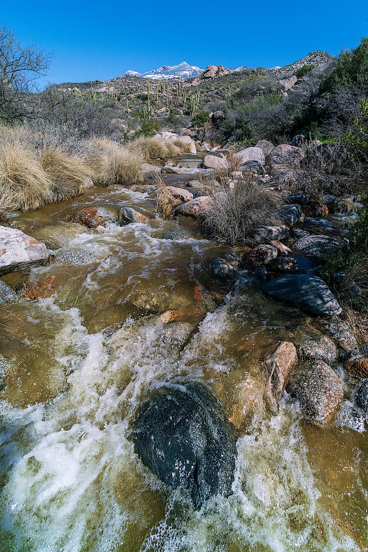 Rushing water in Sutherland Wash. February 2019.